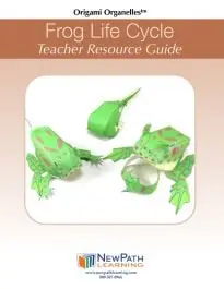 Best Price Frog Life Cycle 3-D Model Making Kit®