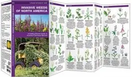 Invasive Weeds of North America (Pocket Naturalist® Guide) Price Drop