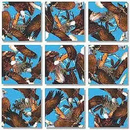 Eagles (Bald) Scramble Squares® Hot Picks