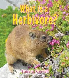 Genuine What is a Herbivore? (Big Science Ideas Series)
