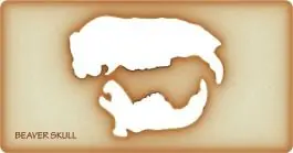 Beaver Trace-A-Skull® Stencil No Minimum Order