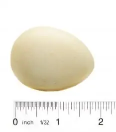 Super Sale Owl (Snowy) Egg Replica