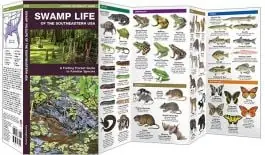 Mega Sale Swamp Life of the Southeastern USA (Pocket Naturalist® Guide)