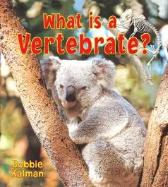 Place Order What is a Vertebrate? (Big Science Ideas Series)