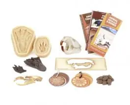 Beaver Replica Pack® (Discounted Collection) Super Sale