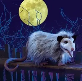 Holiday Sale Opossum Puppet