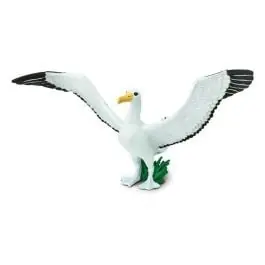 Editor’s Pick Albatross (Giant) Model