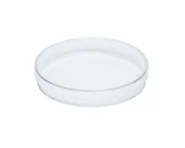 Petri Dishes, 65 mm (Sleeve of 10) Top Pick