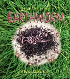 Top Pick Life Cycle of an Earthworm