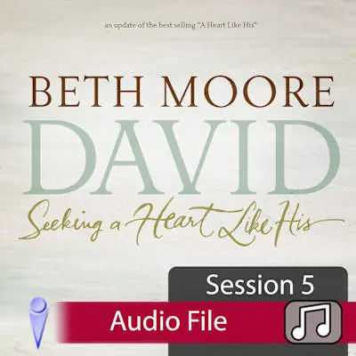 David - Audio Session 5 Warranty Included