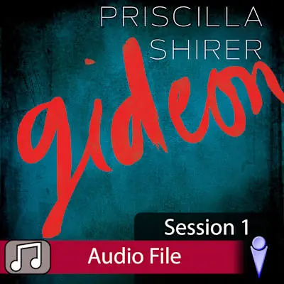 One Day Deal Gideon - Audio Session 1