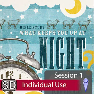 Special Offer What Keeps You Up at Night? - Video Session 1 (Individual Use)