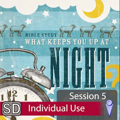 What Keeps You Up at Night? - Video Session 5 (Individual Use) Budget