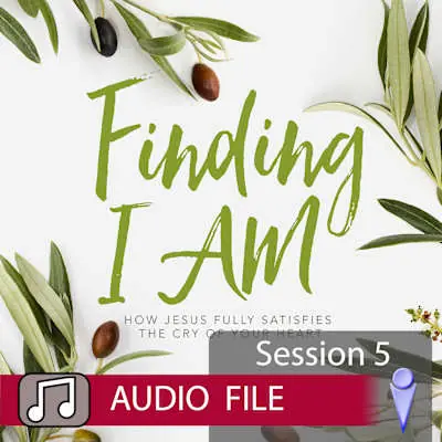 New Arrival Finding I AM - Audio Session 5