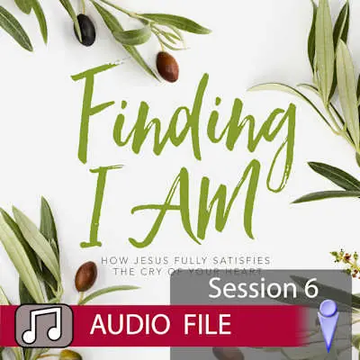 Order Now Finding I AM - Audio Session 6