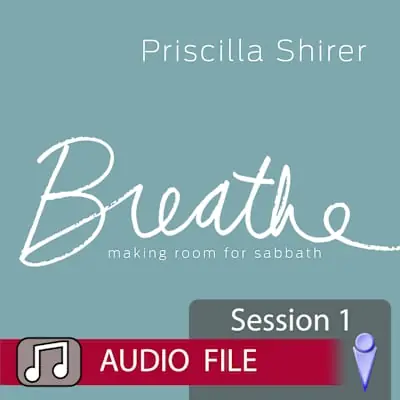 Breathe - Audio Session 1 Brand New