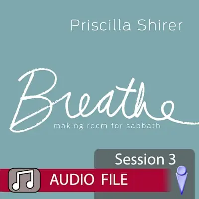 Reduced Price Breathe - Audio Session 3