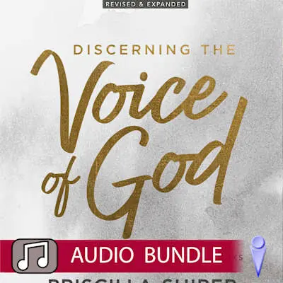 Low Price Discerning the Voice of God - Audio Bundle