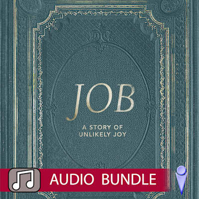 Job - Audio Bundle Grab Now