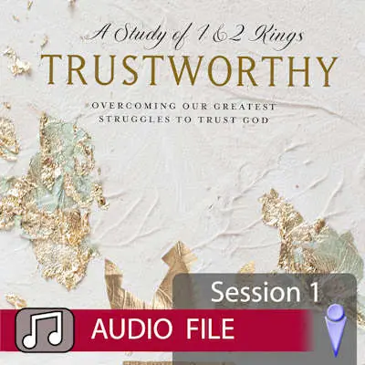 Trustworthy - Audio Session 1 Direct From Manufacturer