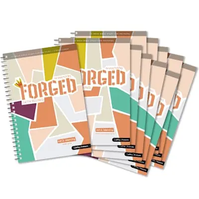 Forged: Faith Refined, Volume 2 Small Group 10-Pack Clearance