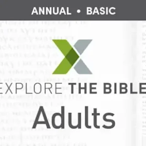 Wholesale Explore the Bible: Adult - Annual Basic (201-400)