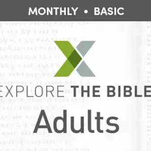 Wholesale Explore the Bible: Adult - Monthly Basic (201-400)