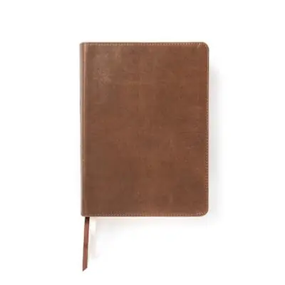 Don’t Miss Out CSB She Reads Truth Bible, Brown Genuine Leather, Indexed