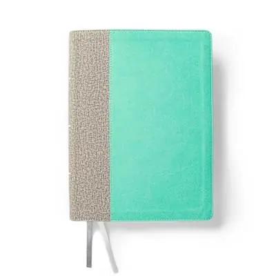 Premium CSB Lifeway Women's Bible, Gray/Mint LeatherTouch