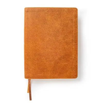 CSB Lifeway Women's Bible, Butterscotch Genuine Leather, Indexed Top Rated