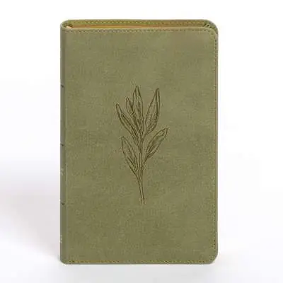 CSB Personal Size Bible, Sage SuedeSoft LeatherTouch Flash Sale