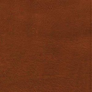 CSB Thinline Bible, Burnt Sienna LeatherTouch Get Yours