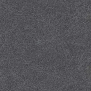 Popular CSB Thinline Bible, Charcoal LeatherTouch
