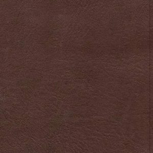 Final Sale KJV Single-Column Personal Size Bible, Brown LeatherTouch