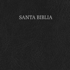 NVI Biblia letra súper gigante, negro piel fabricada Latest