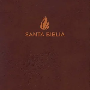 NVI Biblia letra súper gigante, marrón piel fabricada Free Delivery
