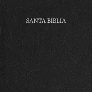 Cheap RVR 1960 Biblia compacta letra grande, negro piel fabricada