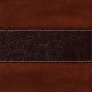 RVR 1960 Biblia del Pescador letra grande, caoba símil piel Modern