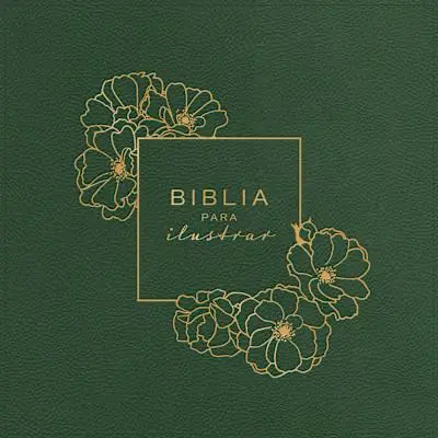 RVR 1960 Biblia para ilustrar, verde símil piel Order Now