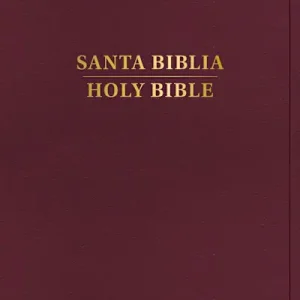 Secure Checkout RVR 1960/KJV Biblia bilingüe, borgoña imitación piel (Edición 2024)