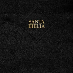 Super Sale RVR 1960 Biblia letra supergigante, negro piel fabricada (Edición 2023)