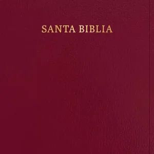 RVR 1960 Biblia letra súper gigante, borgoña imitación piel con índice (Edición 2023) Hassle-Free Returns