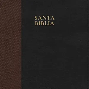 Best Seller RVR 1960 Biblia letra supergigante, negro con café símil piel, con índice