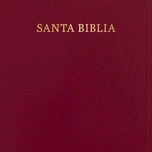 Special Offer RVR 1960 Biblia letra gigante, borgoña imitación piel (Edición 2023)