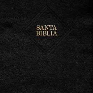 Reduced Price RVR 1960 Biblia letra gigante, negro piel fabricada (Edición 2023)