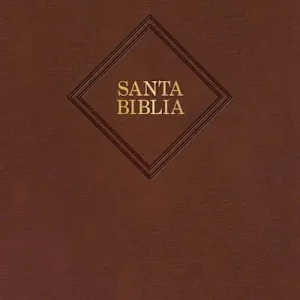 Reduced Price RVR 1960 Biblia letra gigante, café piel fabricada con índice (Edición 2023)