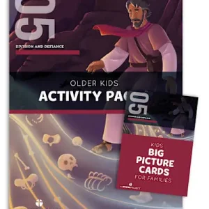 The Gospel Project for Kids: Older Kids Activity Pack - Volume 5: Division and Defiance Final Sale
