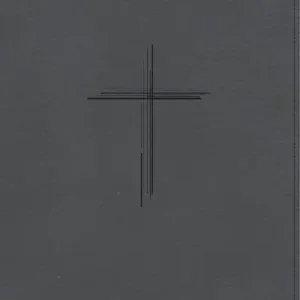 CSB Personal Size Giant Print Bible, Digital Study Edition, Charcoal SuedeSoft LeatherTouch Best Price
