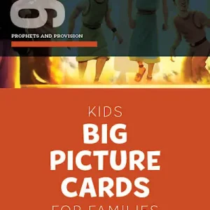 The Gospel Project for Kids: Kids Big Picture Cards - Volume 6: Prophets and Provision Express Delivery
