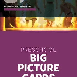 The Gospel Project for Preschool: Preschool Big Picture Cards - Volume 6: Prophets and Provision Latest